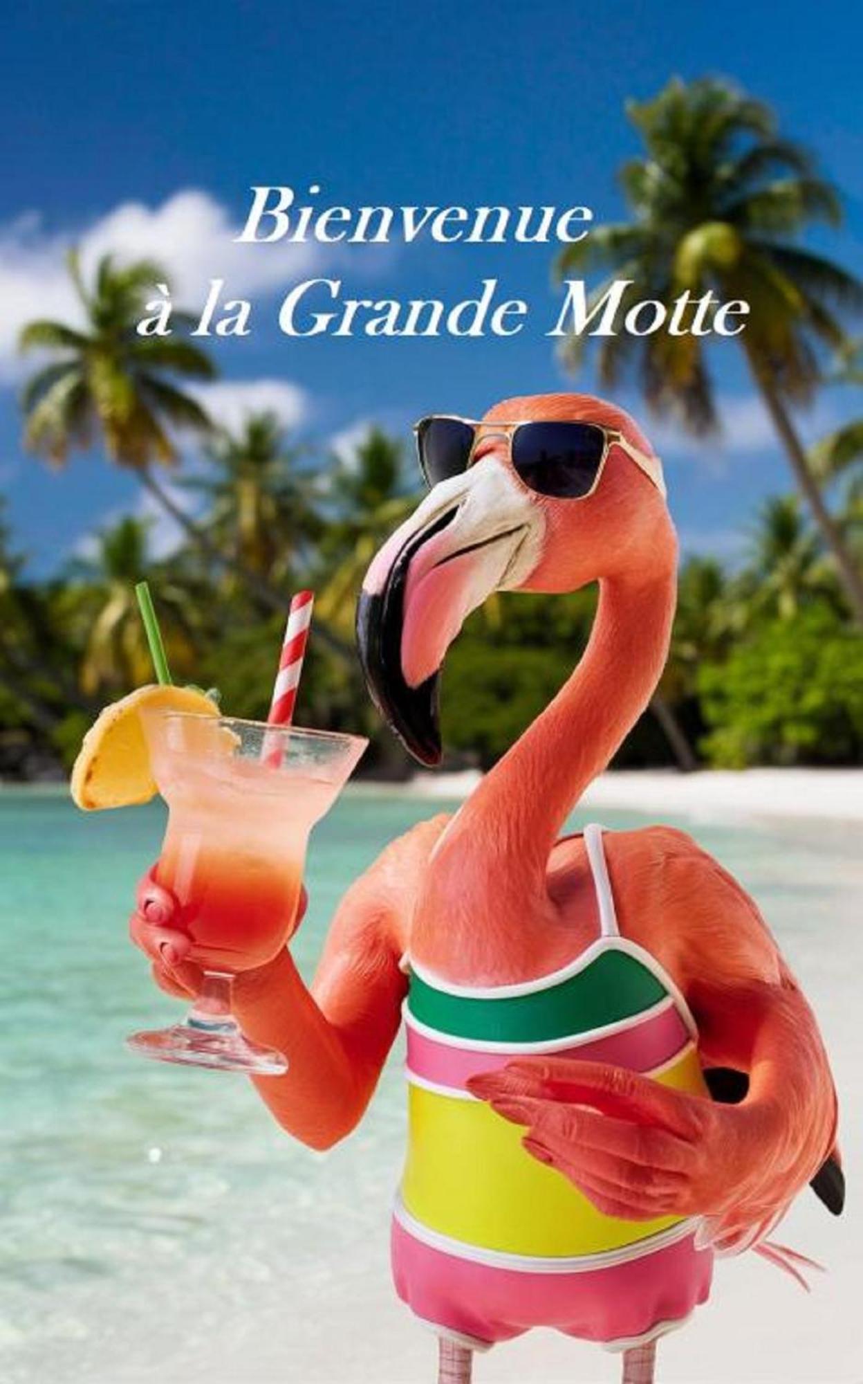 Mes Vacances A La Mer Studio 4 Pers, Parking Prive, Wifi, Linges Fournis, Climatisation La Grande-Motte Buitenkant foto